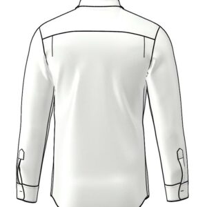 Back_side folds